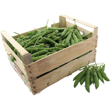 PETIT POIS FRAIS 5KG